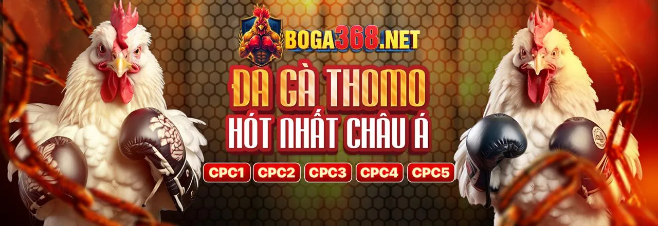 Tổng quan thương hiệu betking casino