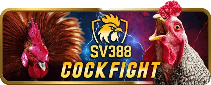 Cá cược thể thao tại betking casino