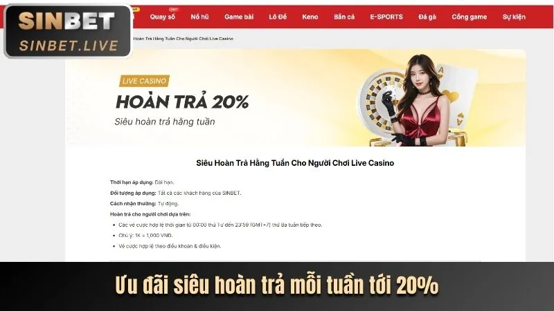 Minh họa các loại cookie Betking Casino sử dụng